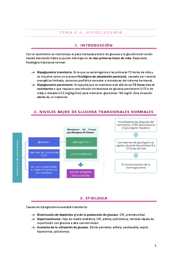 Miniatura del documento T.4.4-HIPOGLUCEMIA.pdf