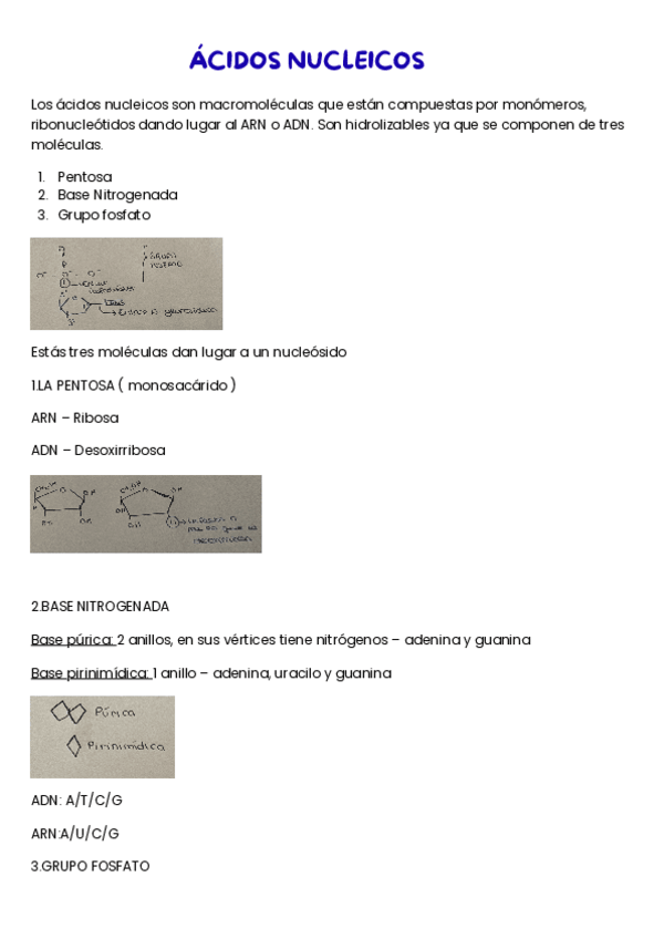 Miniatura del documento ACIDOS-NUCLEICOS-1.pdf