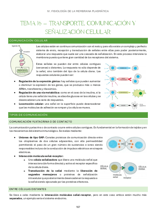 Miniatura del documento Tema-16-Bases-Organicas-e-Inorganicas-de-la-Vida.pdf