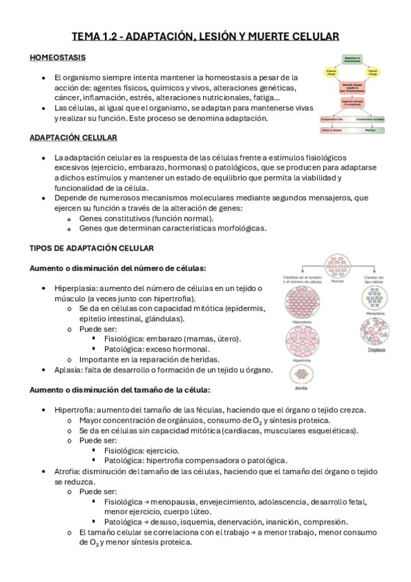 Miniatura del documento tema-1.2.pdf