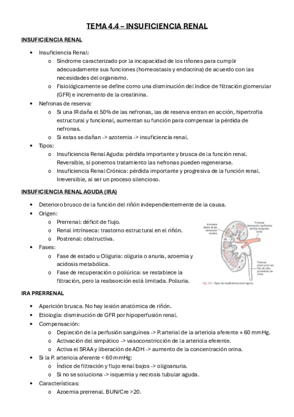 Miniatura del documento Tema-4.4-fisiopato.pdf