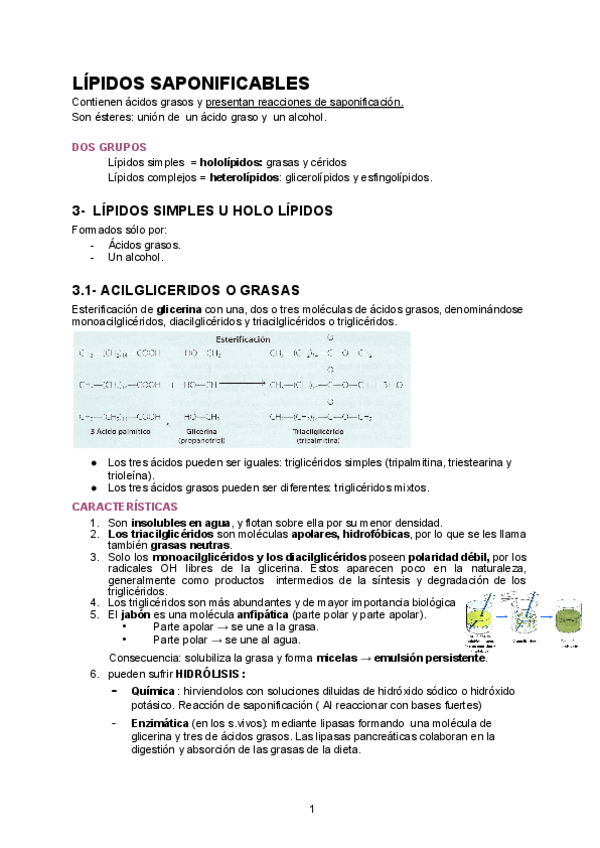 Miniatura del documento LIPIDOS-2.0.pdf