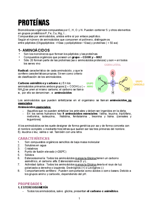 Miniatura del documento PROTEINAS.pdf