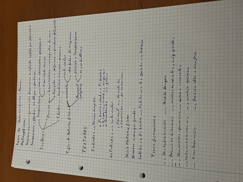 Miniatura del documento Tema-10-de-gealogia.jpeg