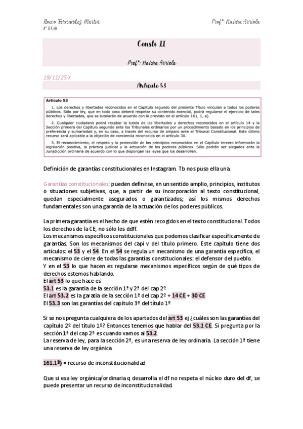 Miniatura del documento Consti-II-art-53.pdf