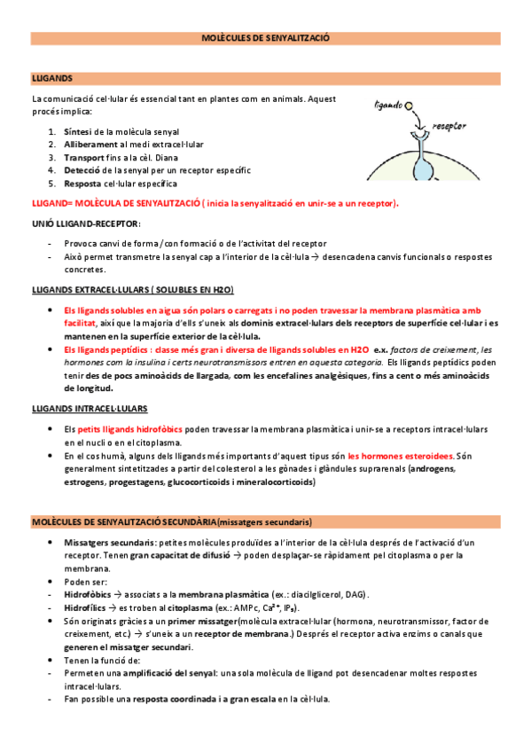 Miniatura del documento MOLECULES-DE-SENYALITZACIO--RECEPTORS.pdf