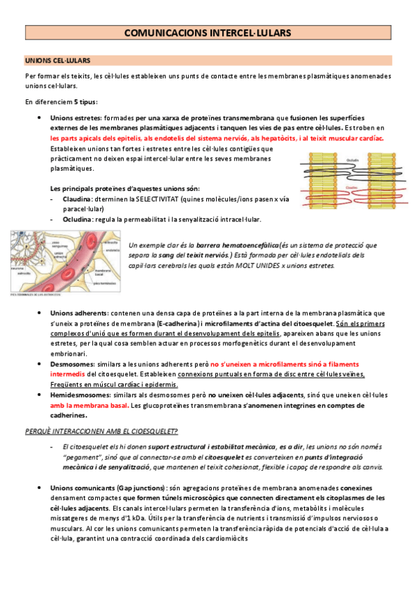 Miniatura del documento COMUNICACIONS-INTERCEL.pdf