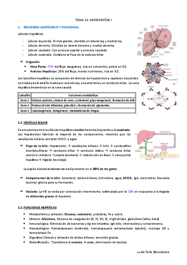 Miniatura del documento IECPA-T13-Hepatopatias-I.pdf