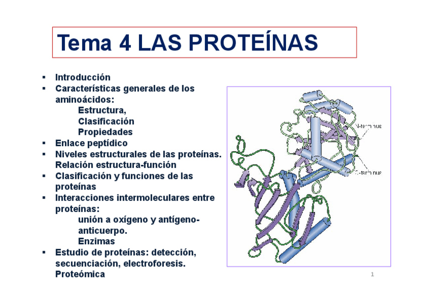 Miniatura del documento Tema-3-Proteinas-Modo-de-compatibilidad.pdf
