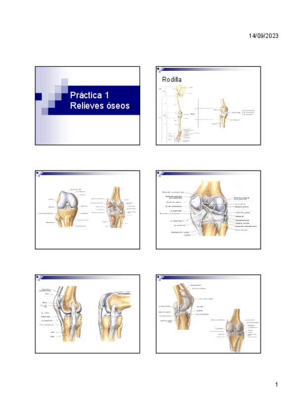 Miniatura del documento Practica-1.pdf
