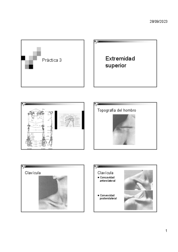 Miniatura del documento Practica-3.pdf
