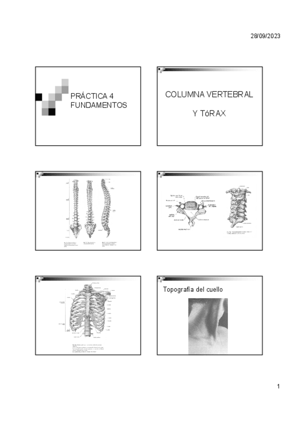 Miniatura del documento Practica-4.pdf