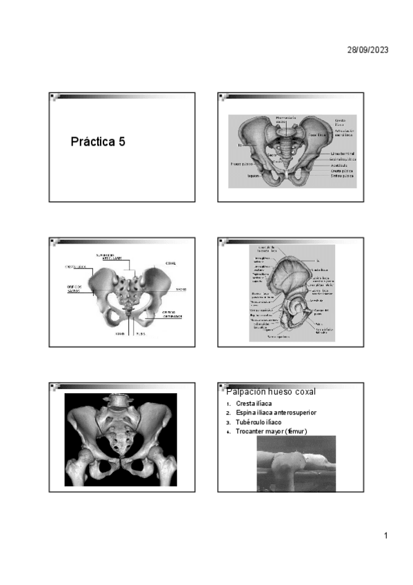 Miniatura del documento Practica-5.pdf