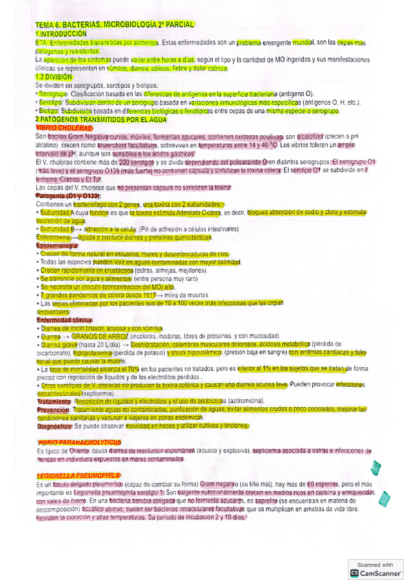 Miniatura del documento Tema-6-Microbiologia.pdf
