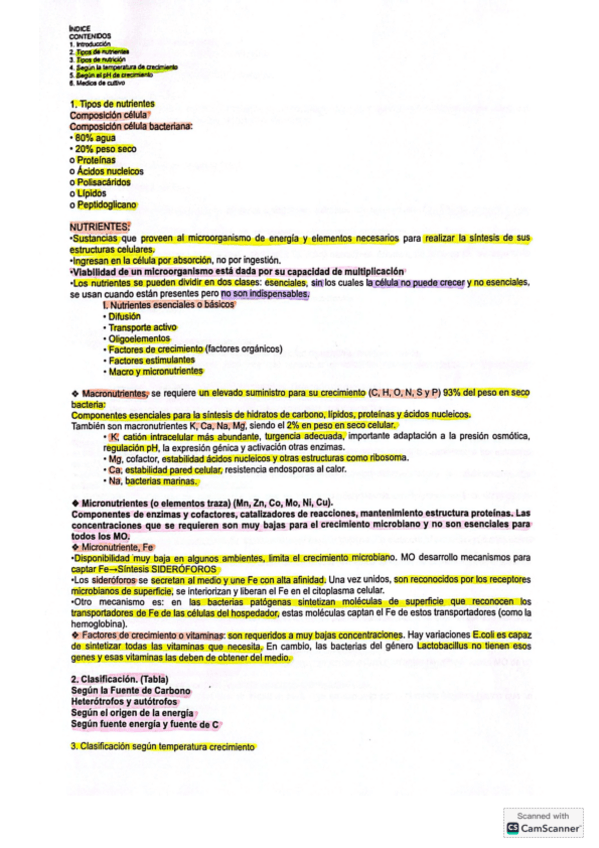 Miniatura del documento Tema-3-Microbiologia.pdf