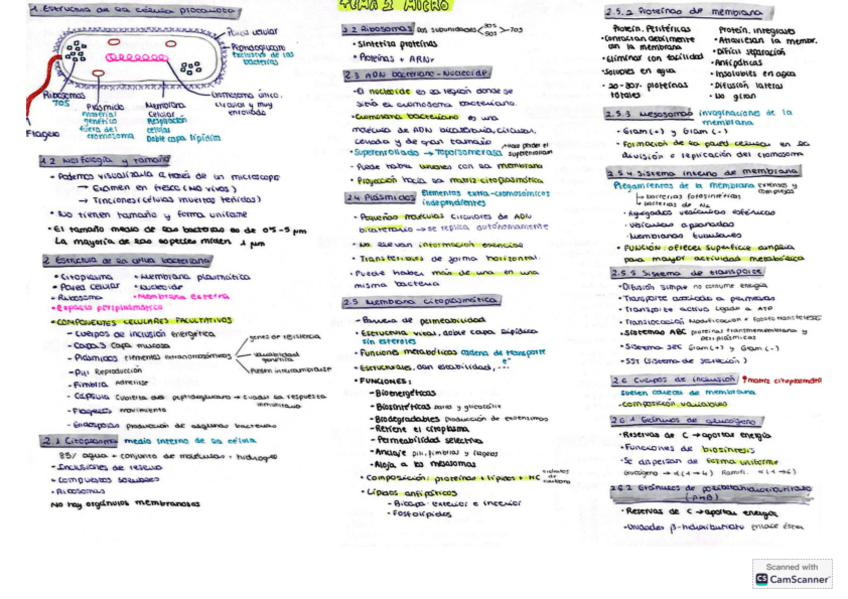 Miniatura del documento Tema-2-Microbiologia.pdf