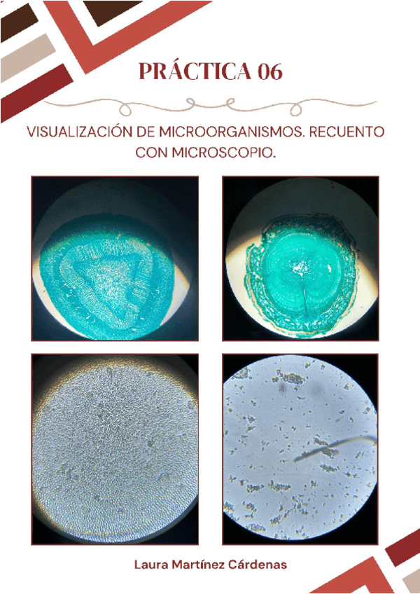 Miniatura del documento P6-parte-1.pdf