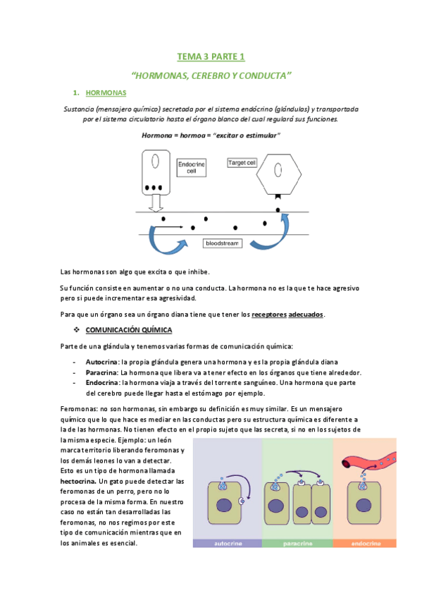 Miniatura del documento TEMA 3 PARTE 1.pdf