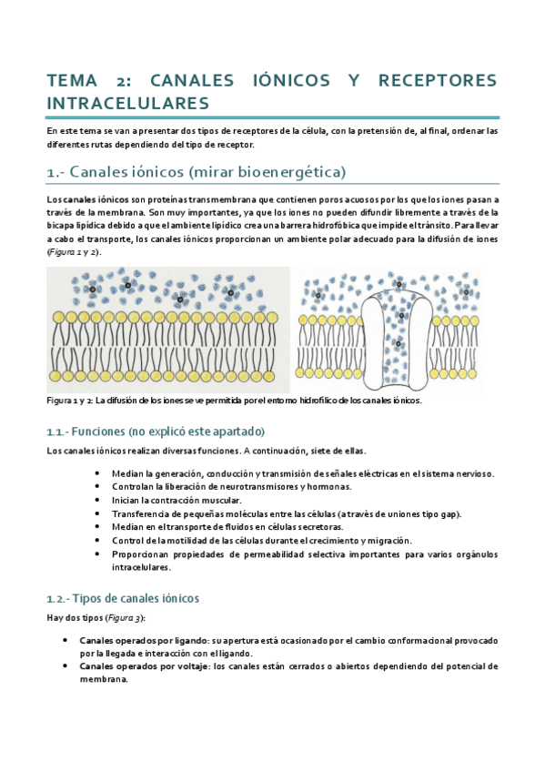 Miniatura del documento Dinámica_Tema 2.pdf