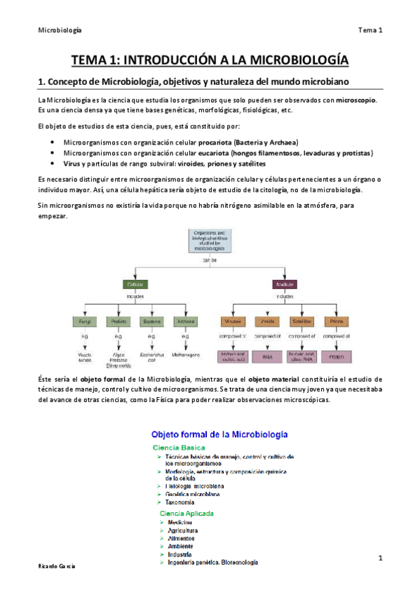 Miniatura del documento TEMA 1 MICRO final.pdf