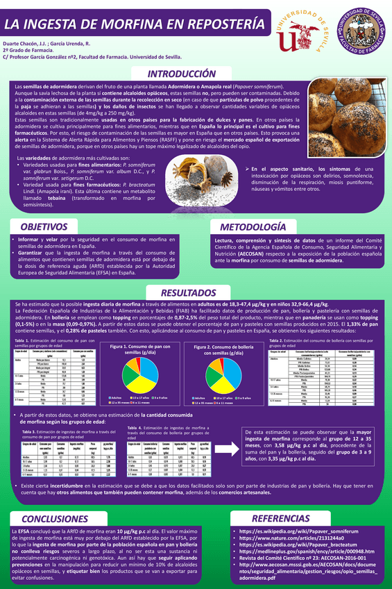 Miniatura del documento POSTER SEGURIDAD.pdf