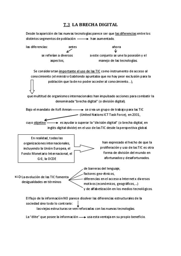 Miniatura del documento Brecha digital.pdf