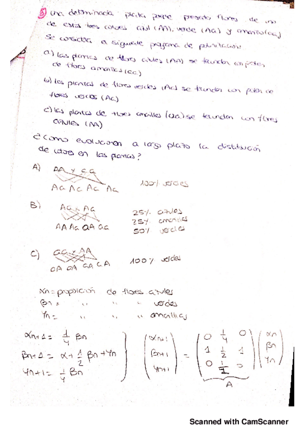 Miniatura del documento relacion 4.pdf