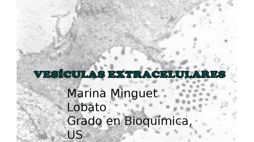 Miniatura del documento EVs Seminario.pptx