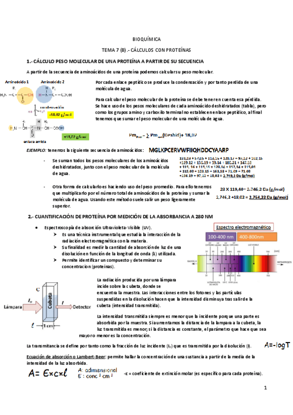 Miniatura del documento TEMA-7-B-CALCULOS-CON-PROTEINAS.pdf