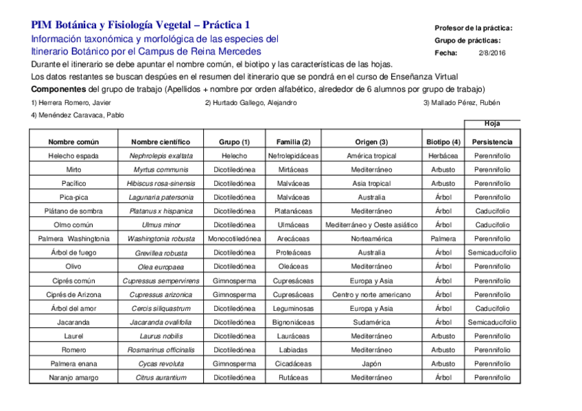 Miniatura del documento Práctica 1 Botánica.xls