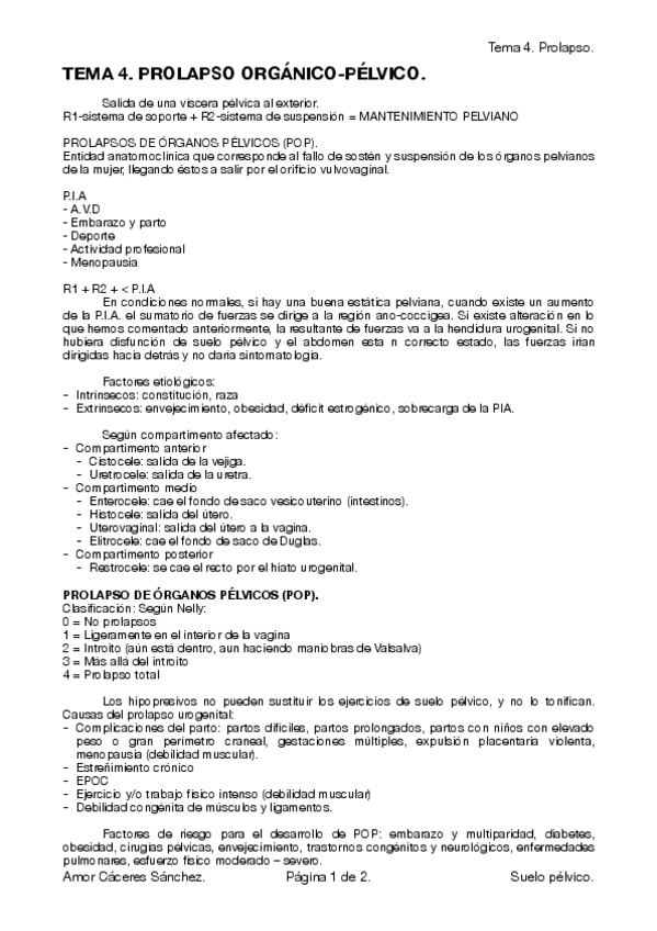 Miniatura del documento tema-4.pdf