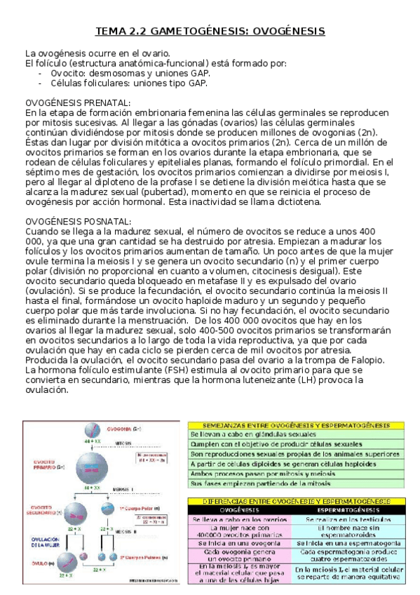 Miniatura del documento TEMA-2.2.docx