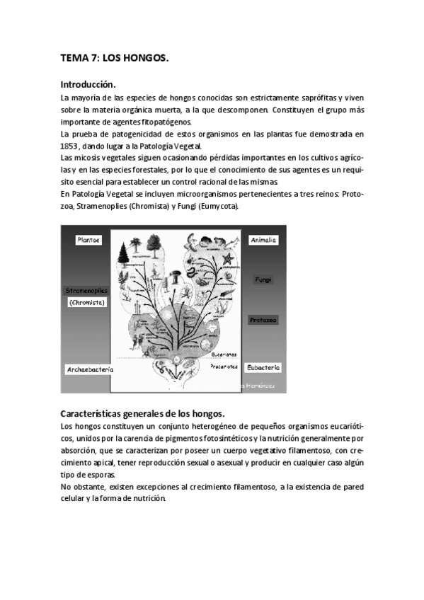 Miniatura del documento TEMA_7.pdf