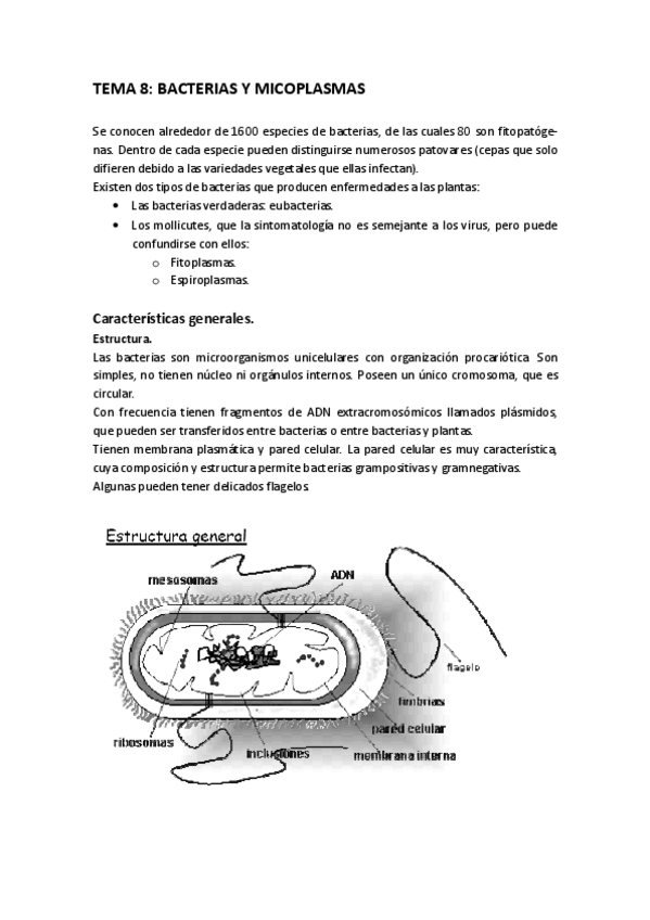 Miniatura del documento TEMA_8.pdf