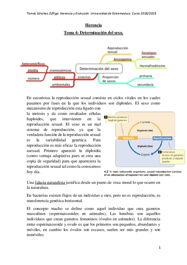 Miniatura del documento Tema-4.pdf