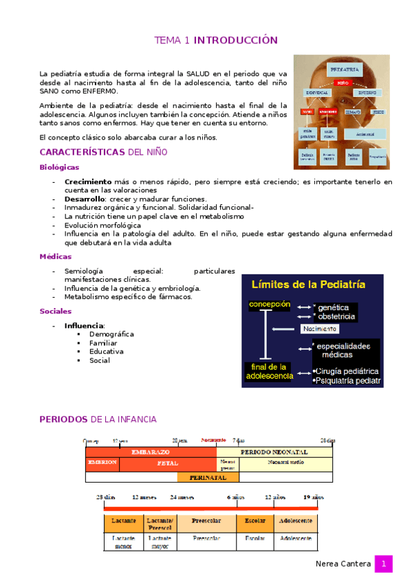 Miniatura del documento APUNTES-Tema-1-Introduccion.docx