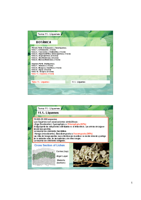 Miniatura del documento Tema-11.pdf
