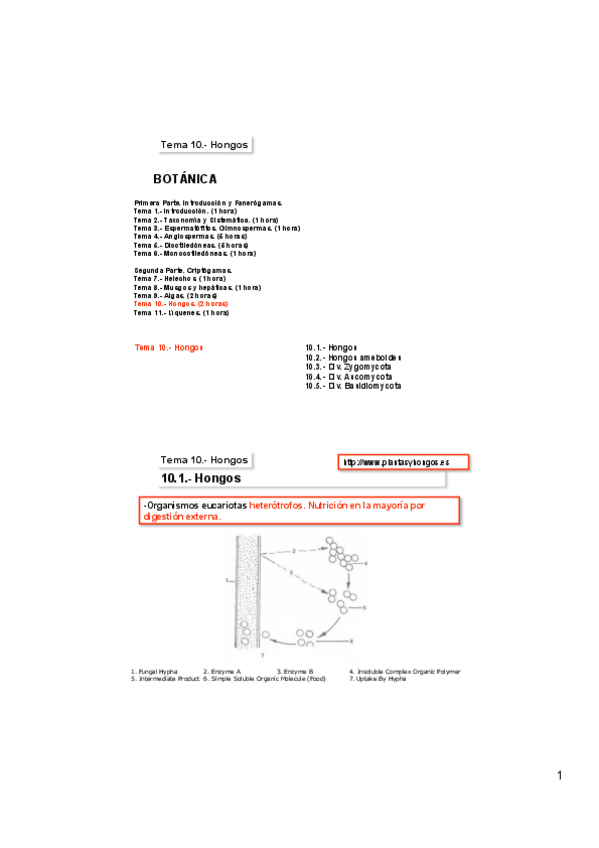 Miniatura del documento Tema-10A.pdf