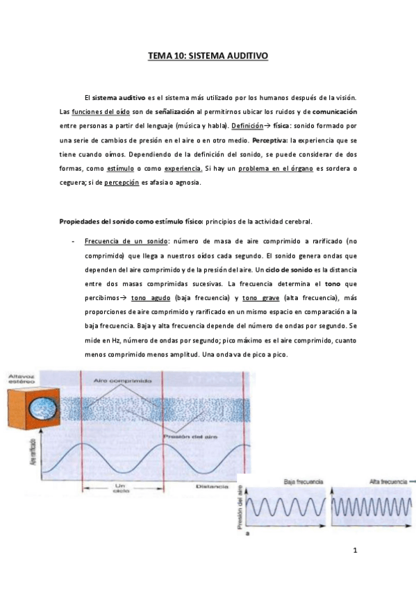 Miniatura del documento TEMA-10.pdf