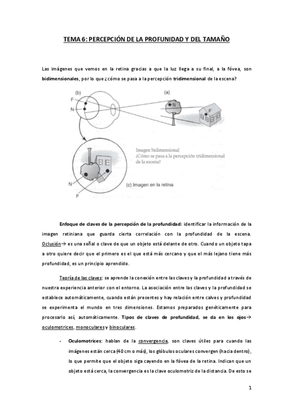 Miniatura del documento TEMA-6-AP.pdf