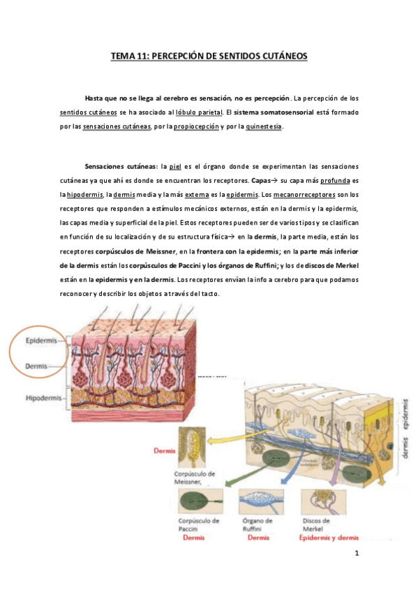 Miniatura del documento TEMA-11.pdf