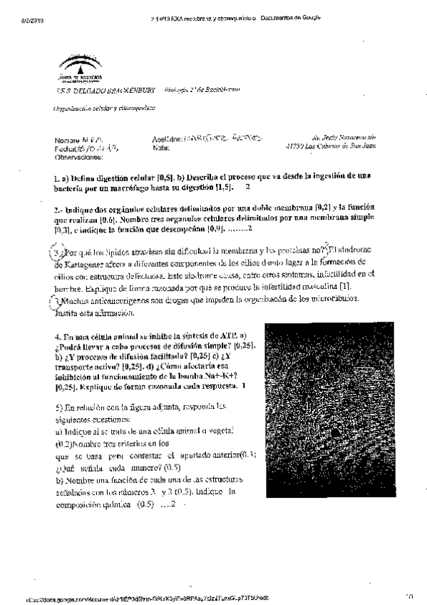 Miniatura del documento 20190211135203318.pdf