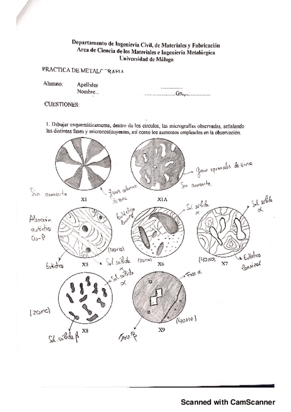 Miniatura del documento PRACTICA 1 MATERIALES RESUELTA