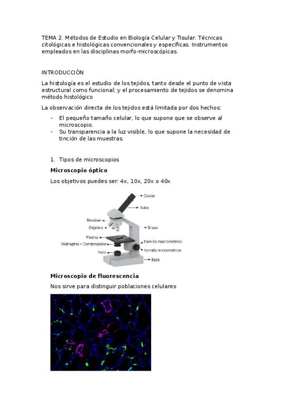 Miniatura del documento tema-2-histologia.docx