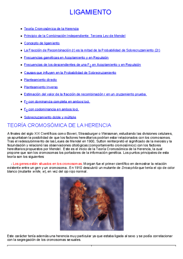 Miniatura del documento 17-Ligamiento y recombinación en eucariontes.pdf