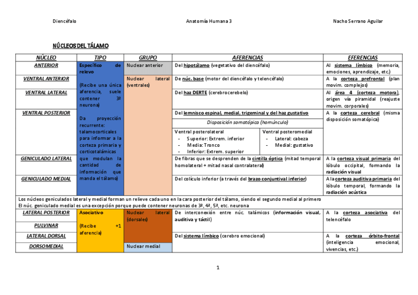 Miniatura del documento AFERENCIAS Y EFERENCIAS DE DIENCÉFALO