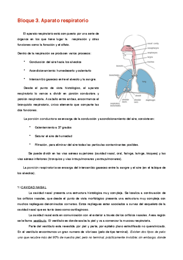 Miniatura del documento Bloque 3.pdf