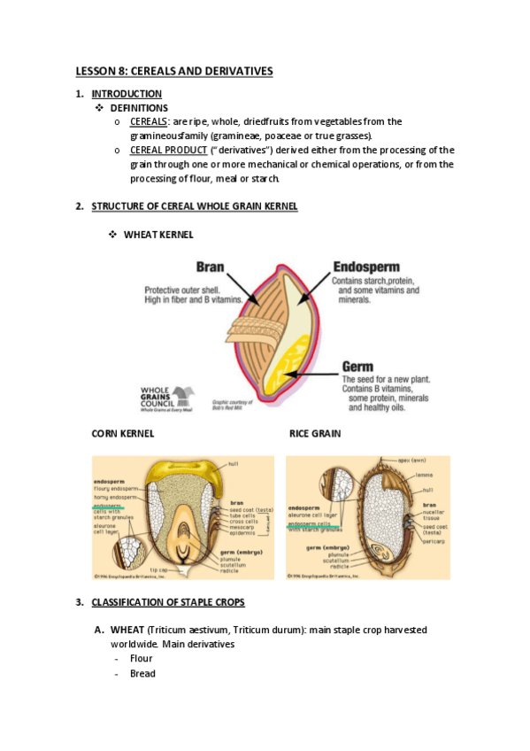 Miniatura del documento LESSON-8.pdf