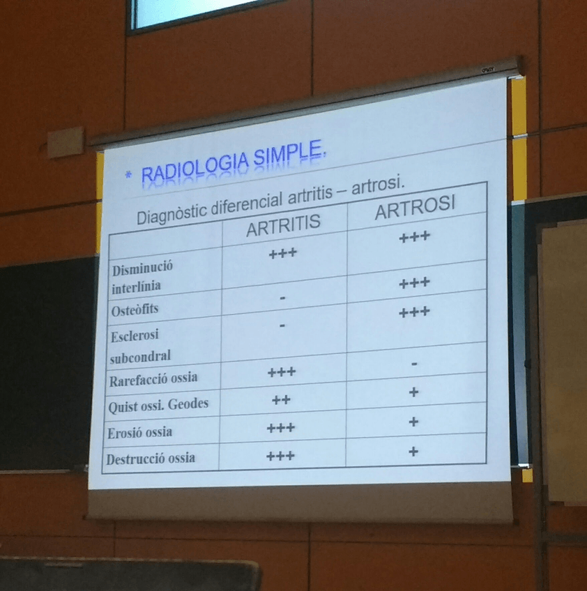 Miniatura del documento IMG20180404165857.jpg
