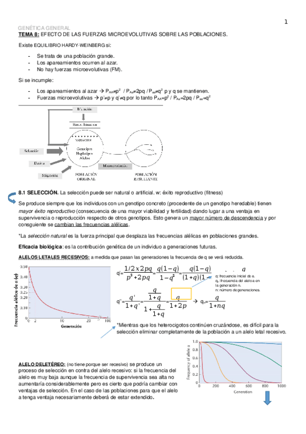 Miniatura del documento TEMA-8.docx